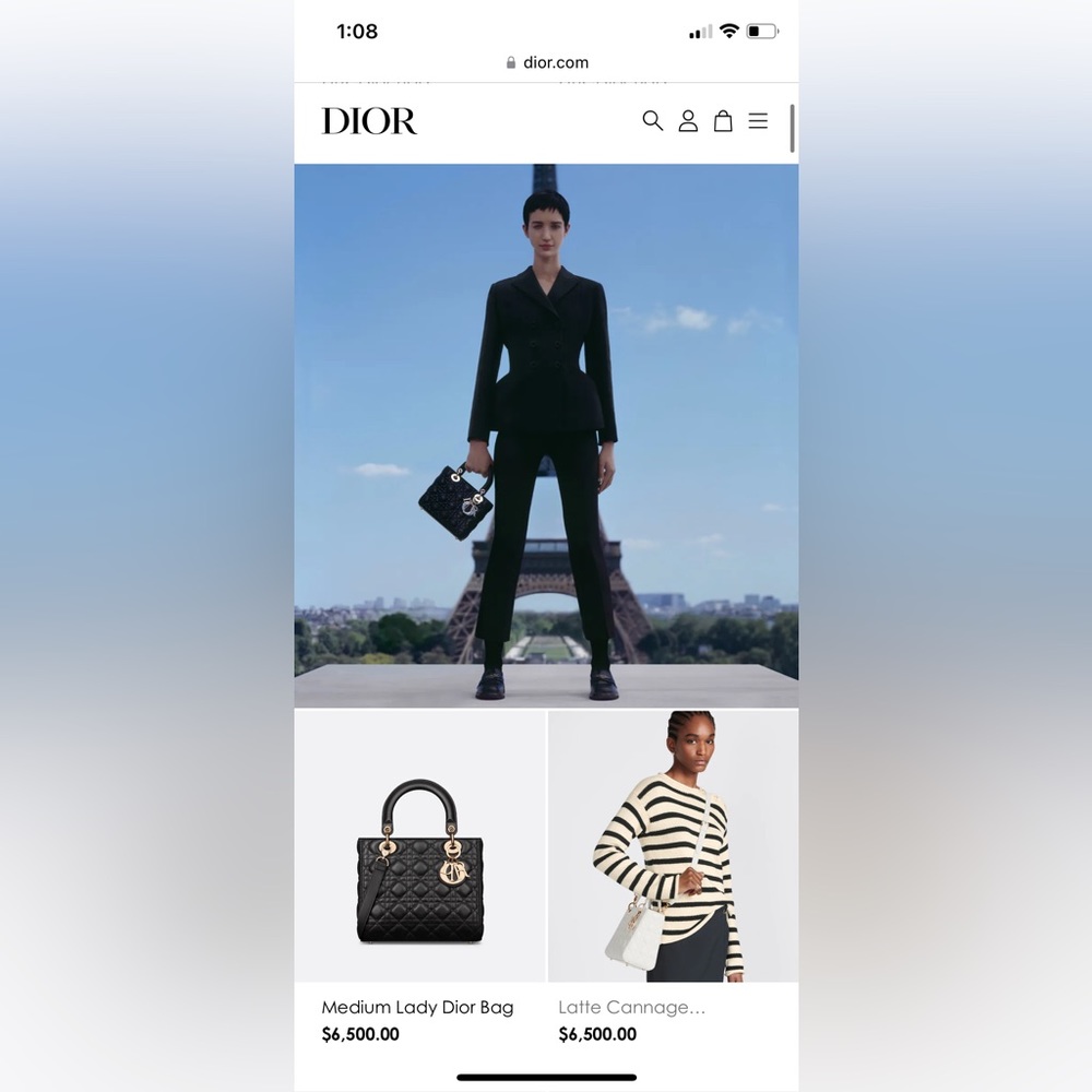 Lady Dior bag ( limited edition). - Picture 14 of 15